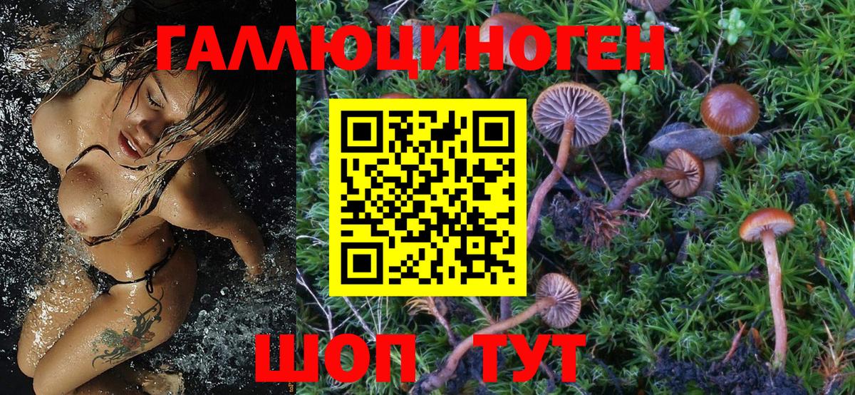 Галлюциногенные грибы Psilocybine cubensis  Галлюциногенные грибы мухоморы  Северобайкальск  где найти наркотики  Вход с VPN 