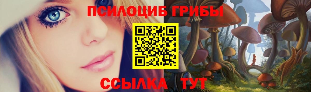 Псилоцибиновые грибы мицелий Северобайкальск